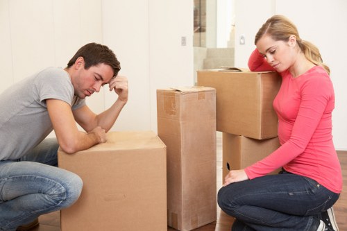 Central London man with van transport for household items